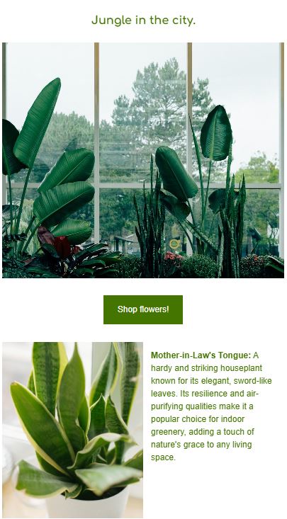 Newsletter Example 3