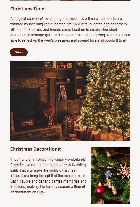 Newsletter Example 5
